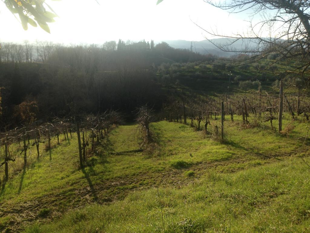 Podere San Lorenzo Terranuova Bracciolini Exterior photo